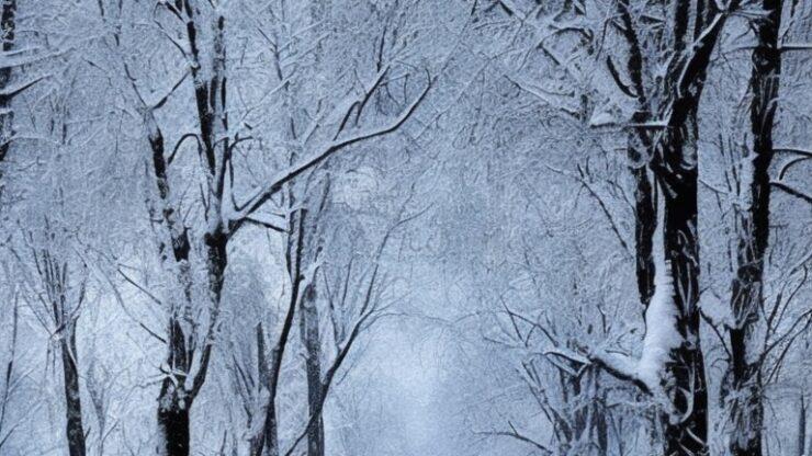 Конец света: прогнозы и сценарии. Часть 6. Вечная зима. Заснеженный лес с деревьями, покрытыми снегом, создающий зимний пейзаж.